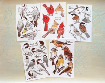 Bird Postcards - Blind Set