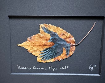 American Crow Float Mounted to 5x7
