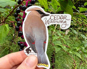 Cedar Waxwing - One Sticker