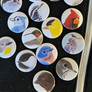 May include: A collection of 12 round button pins featuring different bird species. The pins are colorful and feature realistic illustrations of birds, including a cardinal, a bluebird, a hummingbird, a chickadee, and a heron.