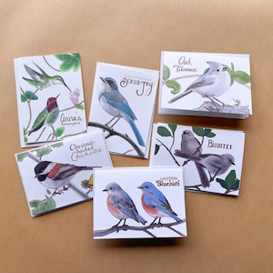May include: Set of 7 illustrated note cards featuring different bird species. Each card has a colourful illustration of a bird with its name and common name. The birds include an Anna's Hummingbird, a Scrub Jay, an Oak Titmouse, a Chestnut-backed Chickadee, a Bushtit, and two Western Bluebirds.