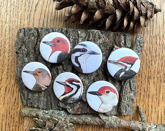 Eastern North American Woodpeckers - Magnet Set of 6