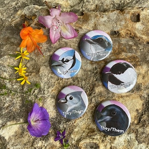 May include: Five round buttons with different blue jay illustrations. Each button has a white background with a purple and blue stripe across the top. The text "They/Them" is printed in black on each button.