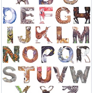 Animaux en Alphabet Affiche 18 x 24 Casey G. image 1