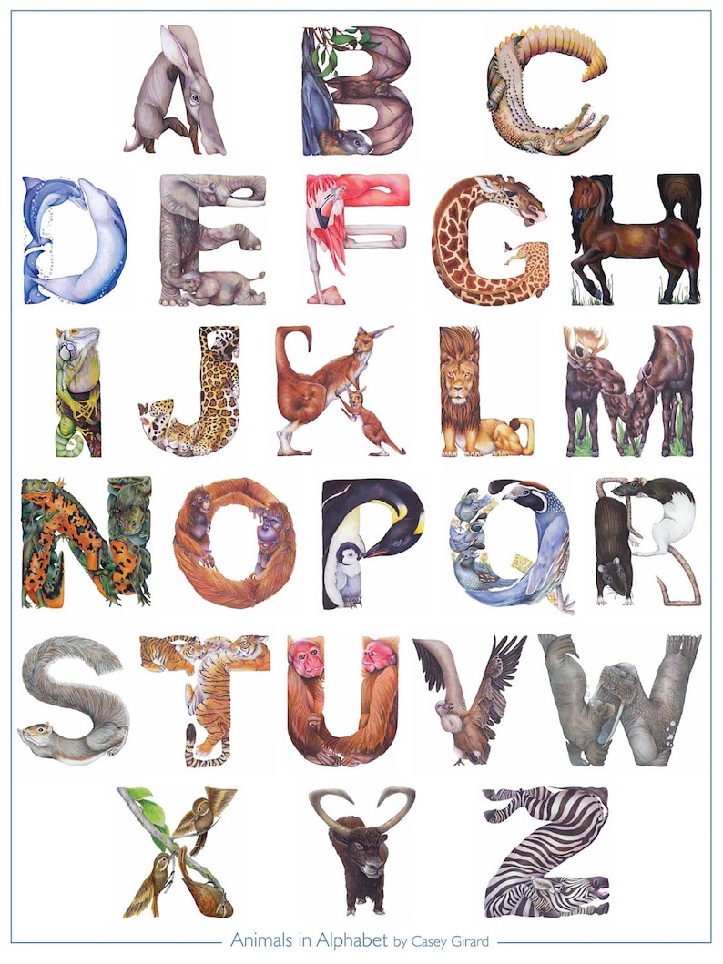 Animaux en Alphabet Affiche 18 x 24 Casey G. image 1