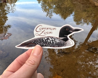 May include: A sticker featuring a detailed illustration of a Common Loon. The bird is depicted with a black head and neck, white markings, and a black and white patterned body. The words "Common Loon" are written in cursive.