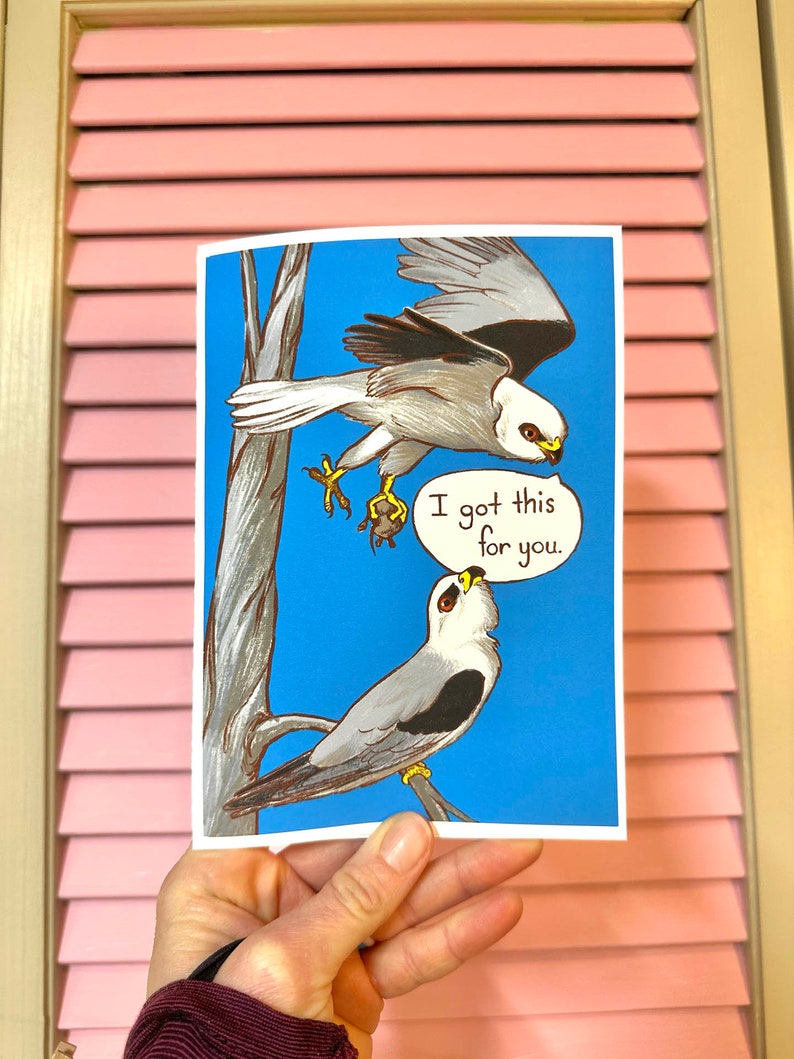 For You White-tailed Kite Love Card 5x7 zdjęcie 1