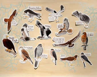 Set of 15 Western Birds of Prey Stickers