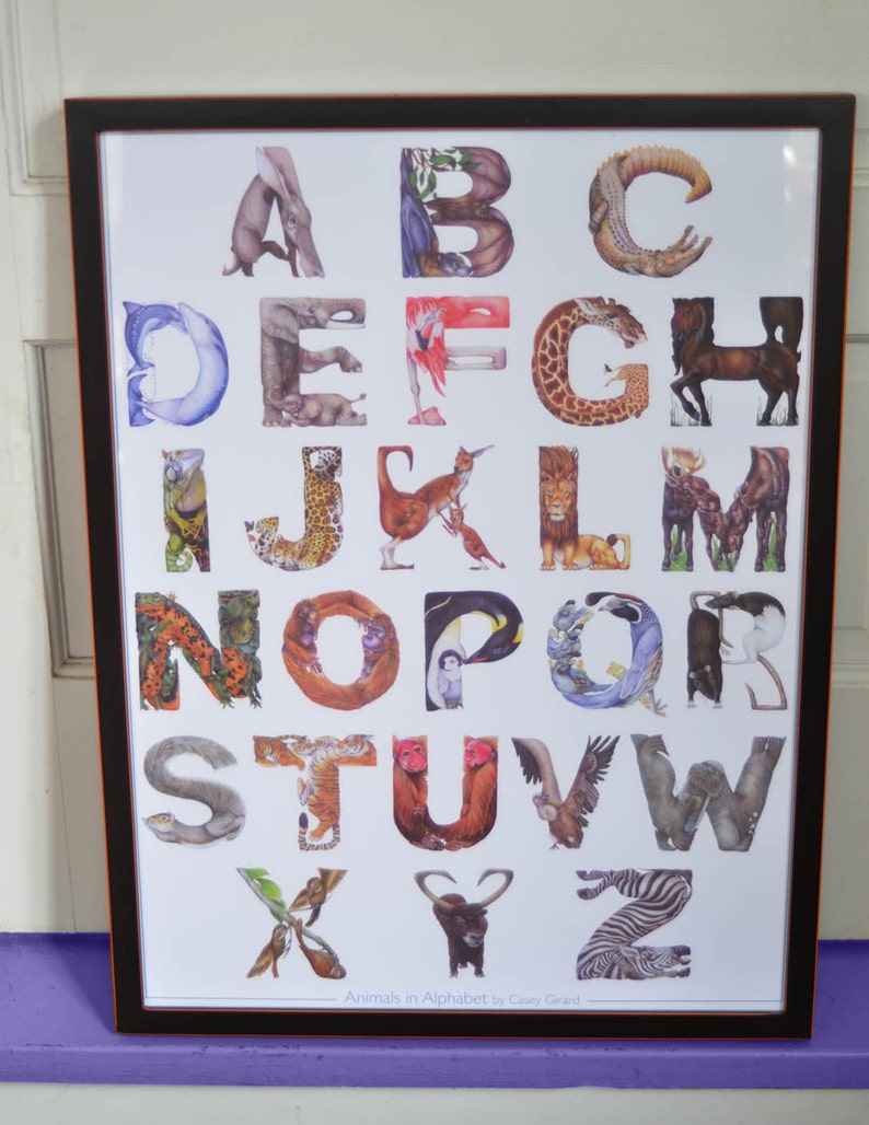 Animaux en Alphabet Affiche 18 x 24 Casey G. image 3