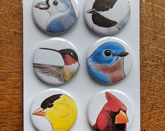 Set of 6 Magnets