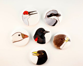 CA Central Valley Favorite Birds - Magnet Set of 6