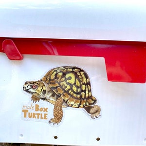 May include: A white mailbox with a red flag and a sticker of a box turtle with the text "male Box TURTLE".