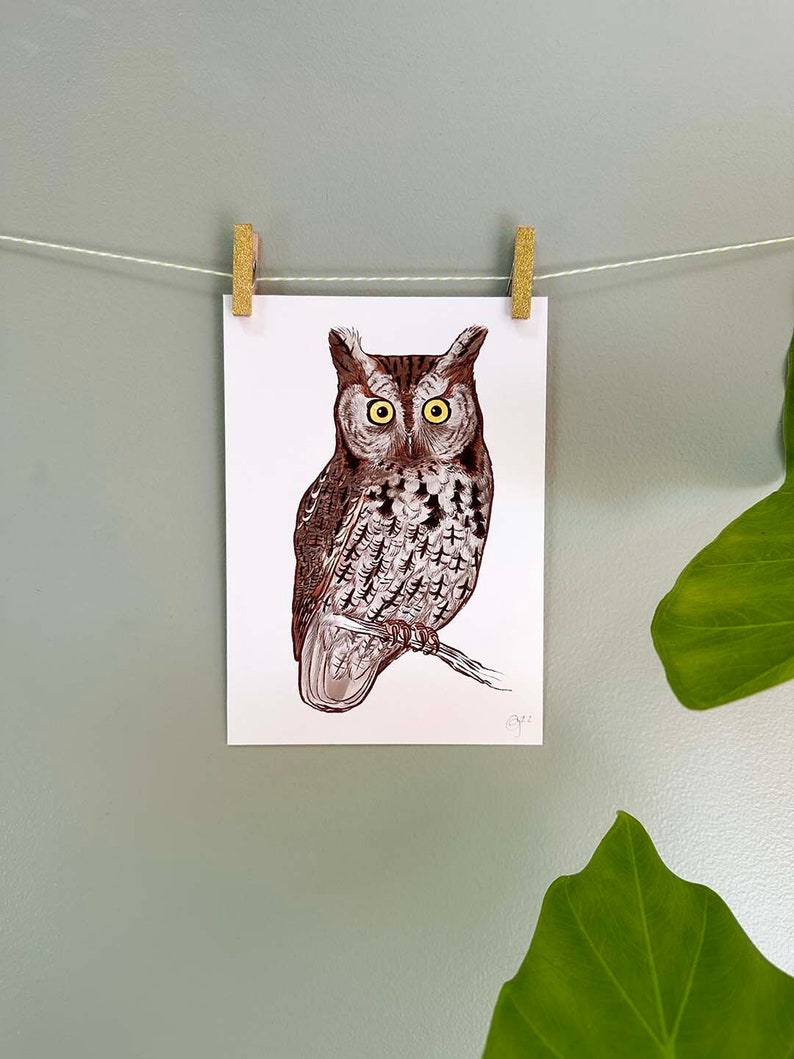 5x7 Print of Eastern Screech Owl image 1