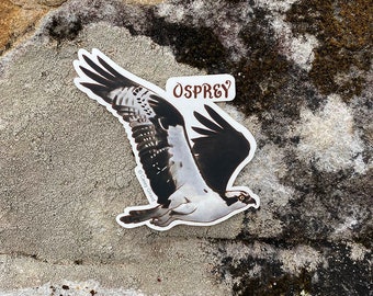 Osprey - Sticker