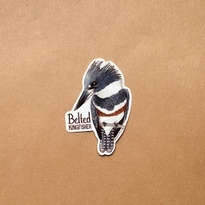 Individual Belted Kingfisher Sticker image 2