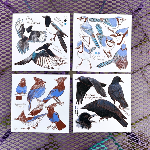 Corvid - Sketchpage Prints