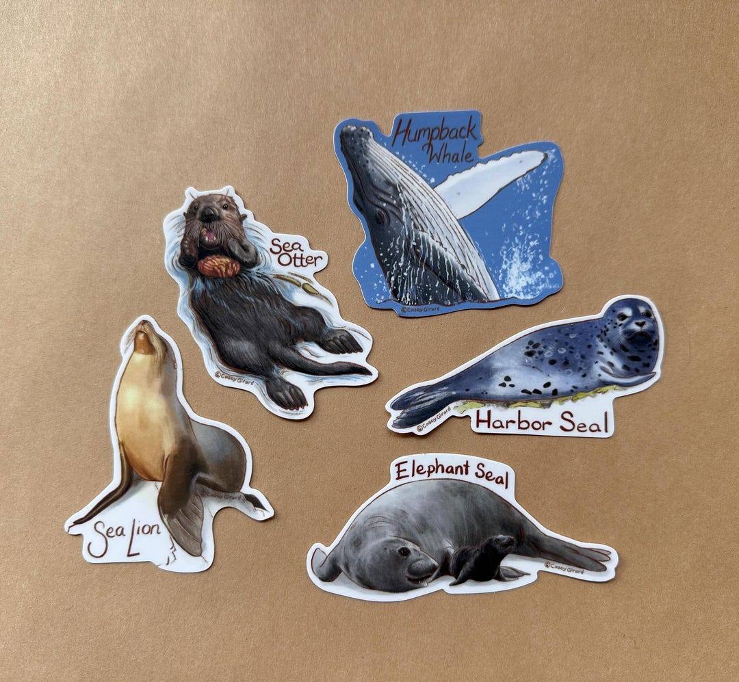 One Vinyl Sticker of a Marine Mammal - Etsy