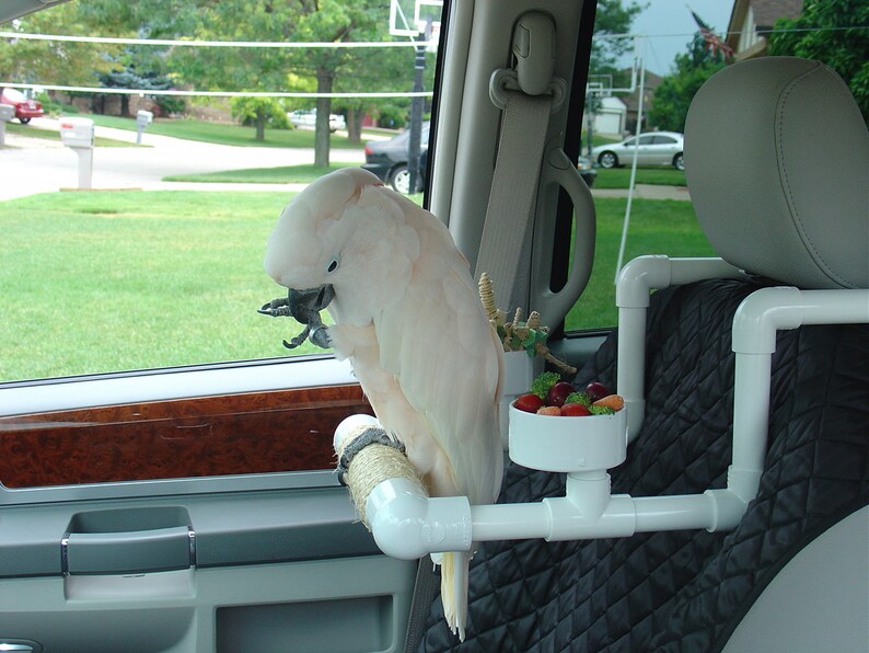 Parrot Car Perch PVC Bird Car Seat Small Table Top Etsy