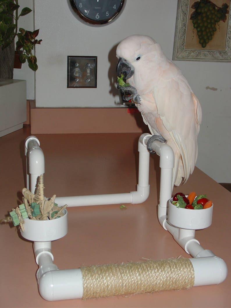 PVC Bird Car Seat Parrot Car Perch Food Bowls Sisal | Etsy