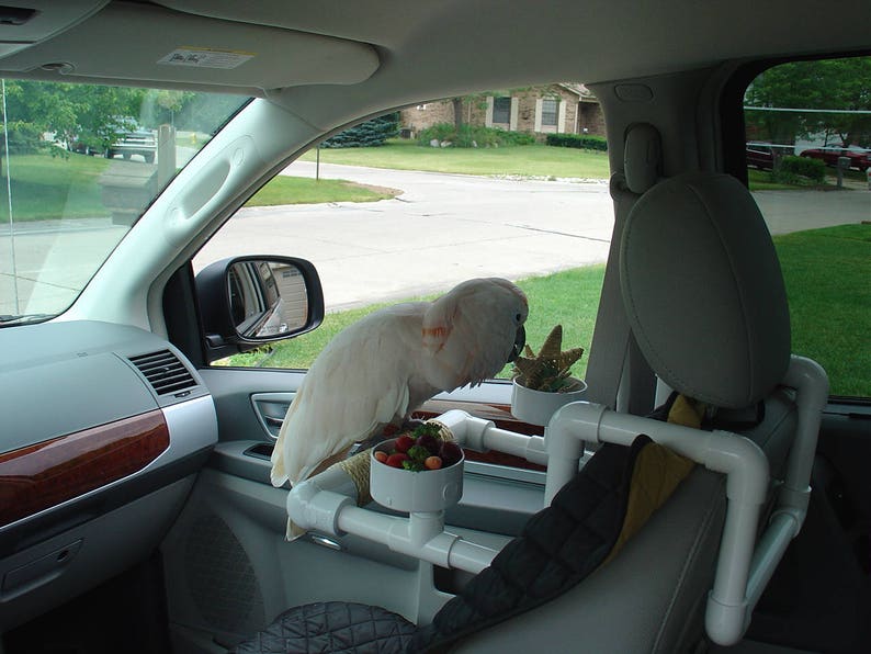 Parrot Car Perch PVC Car Seat Bowl Bird Perch Car Perch Etsy