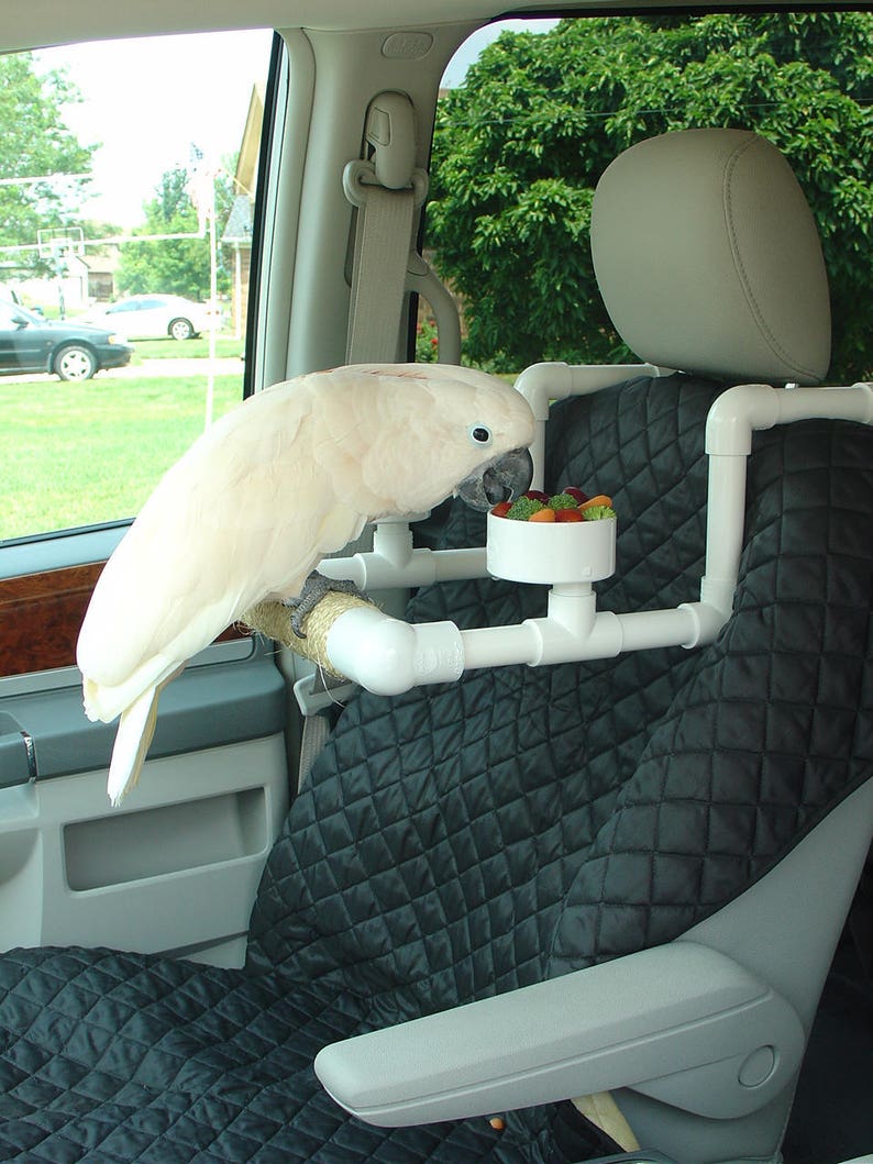 PVC Bird Car Seat Parrot Car Perch Food Bowls Sisal Etsy