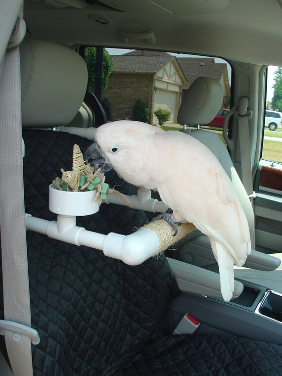 PVC Parrot Car Perch Car Seat Bowls Bird Perch Sisal Etsy