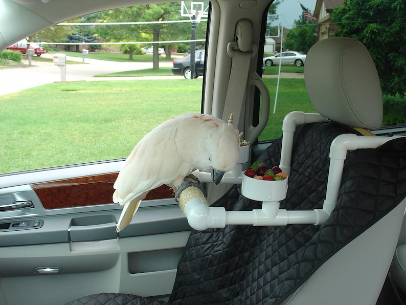 Parrot Car Perch PVC Car Seat Bowl Bird Perch Car Perch Etsy