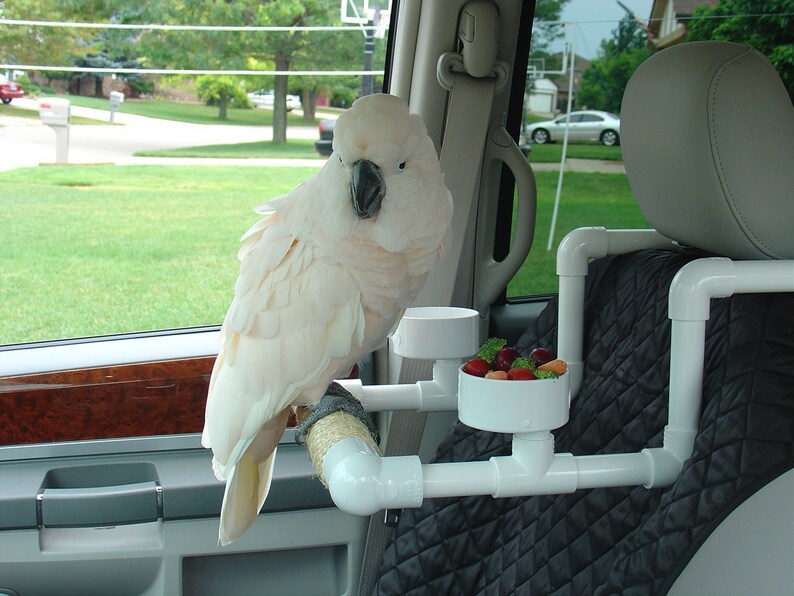 PVC Car Perch Bird Seat Parrot Perch Stand Gym Travel Etsy