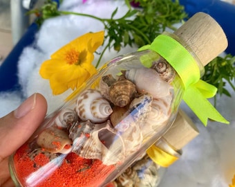 Miniature Seashell Bottle: Ocean-Inspired Table Decor