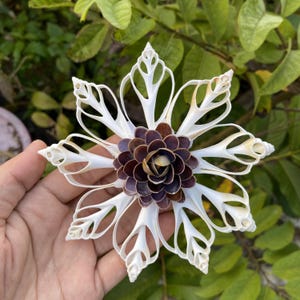 May include: A white seashell snowflake ornament with a brown and purple seashell flower in the center.