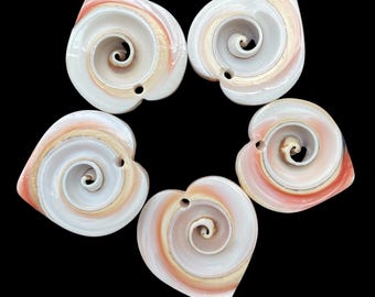 Set of 5 Handmade Seashell Heart Pendants: Beach Jewelry (25mm)