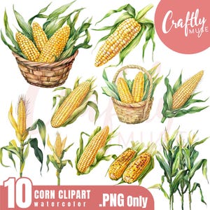 Watercolor Corn PNG, Corn PNG, Watercolor Corn Clipart, Corn PNG Bundle, Farmhouse Decor, Vegetable Png, Instant Digital Download.