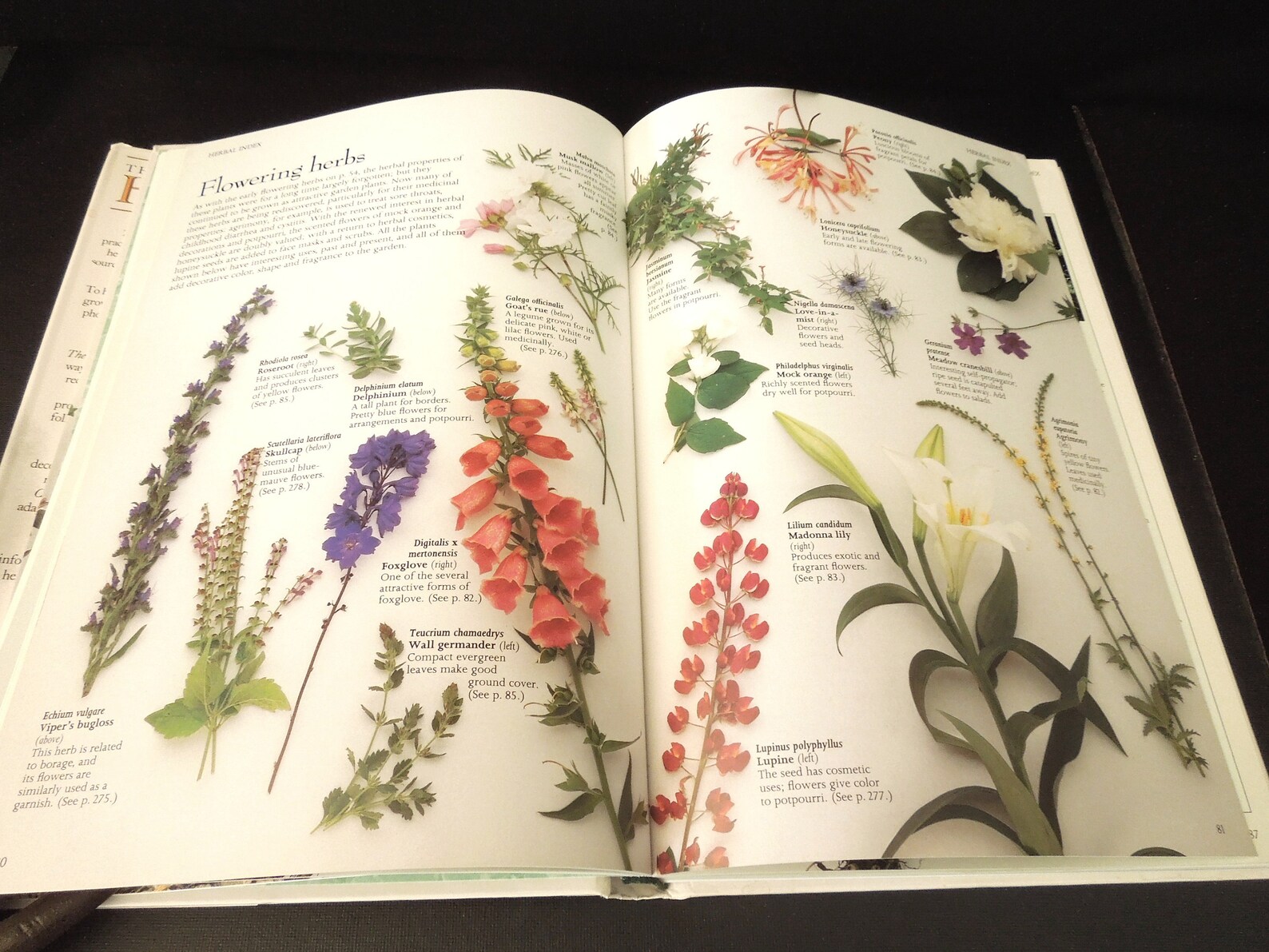 The Complete Book of Herbs Vintage Book How to Use Cook Etsy