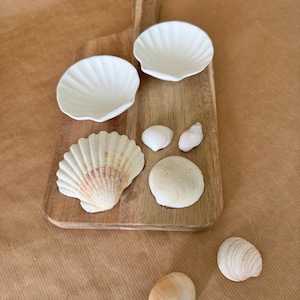 May include: A wooden serving board with a black leather handle, two white ceramic seashell-shaped bowls, and five seashells of various sizes and colours.
