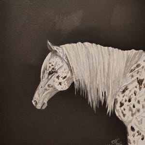 Hand painted with acrylic paints, &quot;Appaloosa Horse&quot;, 10&quot;x10&quot;, Stretched canvas.