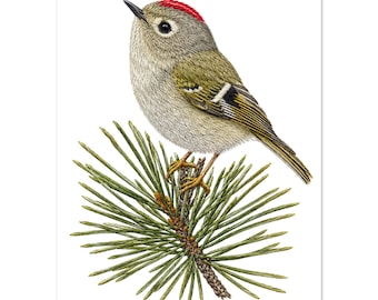 Ruby-Crowned Kinglet Art Print, Fine Silk Thread Embroidery Poster, Chinoiserie Bird Wall Art