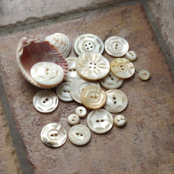 Antique Carved Shell BUTTONS Pearls
