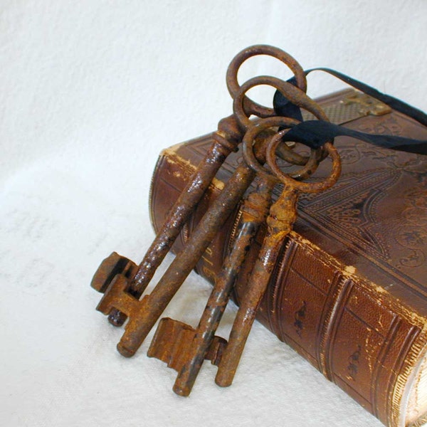 Antique Rusty Iron Skeleton Keys Large