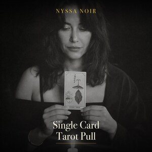 May include: A rectangular tarot card featuring black line art illustrations of botanical and abstract symbols, held upright. The text NYSSA NOIR appears at the top, and the text Single Card Tarot Pull is centered at the bottom of the image.