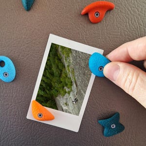 Puede incluir: Una mano sostiene una presa de escalada azul junto a una foto polaroid de un alpinista en una pared rocosa. Varias presas de escalada coloridas en azul, naranja, amarillo y verde azulado están esparcidas alrededor de la foto sobre una superficie marrón.