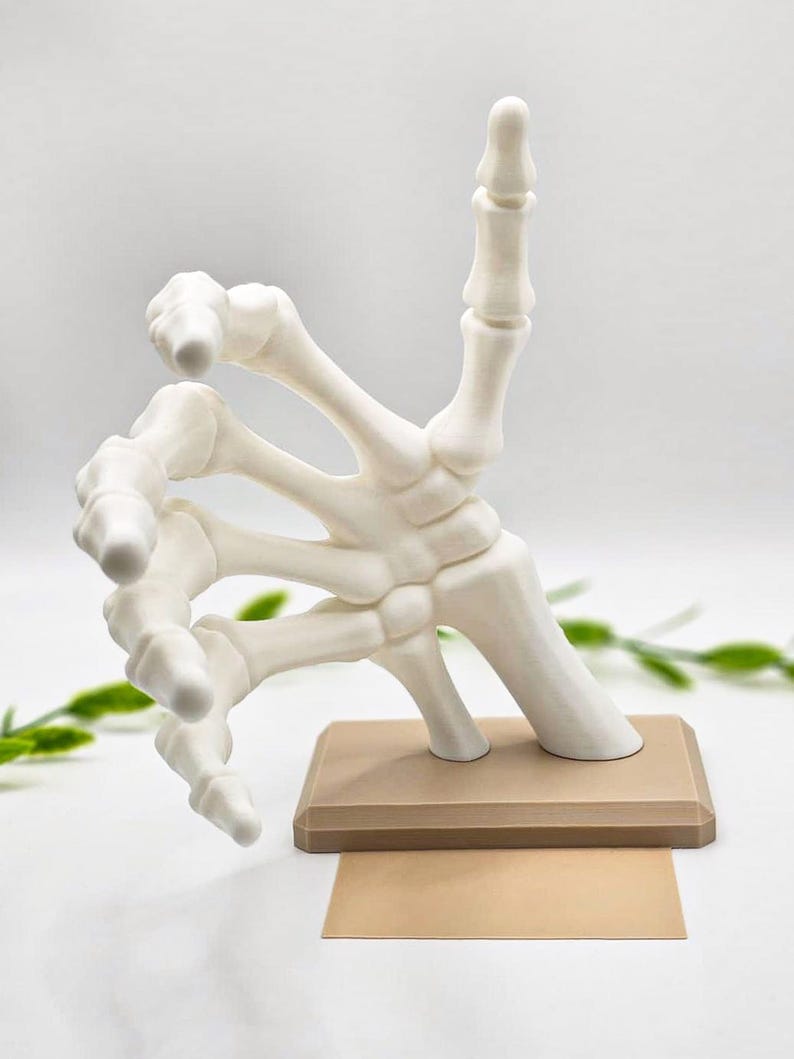 May include: A white, articulated hand sculpture, resembling a human skeleton hand, is displayed on a rectangular, two-tone base. The hand is posed with the index finger pointing upwards. The base is a light brown color.