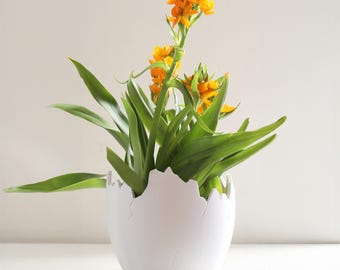 May include: A white ceramic planter shaped like a cracked egg with a green plant with orange flowers growing inside.