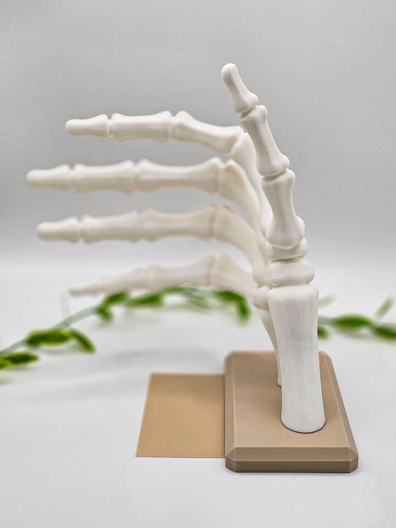 May include: A white, 3D-printed model of a human hand skeleton, with the fingers extended. The model is mounted on a rectangular, tan-colored base. The hand is positioned as if giving a thumbs-up. The background is a soft, neutral color.