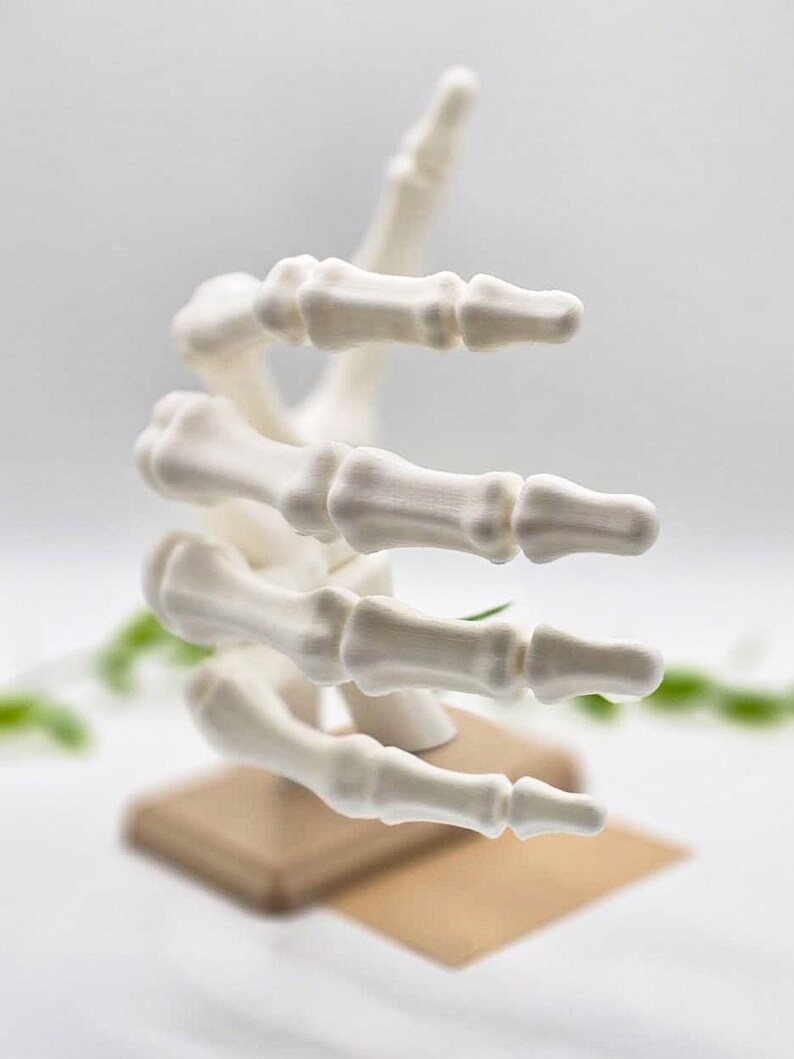 May include: A white, 3D-printed model of a human hand skeleton, with detailed bone structure. The hand is posed in a spiral shape, mounted on a small, square wooden base. The background is blurred, with hints of greenery.