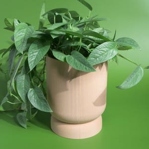 May include: A beige, ribbed planter pot with a rounded base, filled with green leafy plants. The pot sits on a green background, creating a contrast with the neutral tones of the planter and foliage. The plant's leaves cascade over the sides.