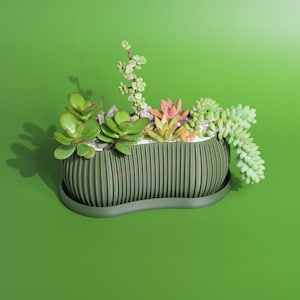 May include: A green ceramic planter shaped like a bean with a variety of succulents growing inside. The planter has a ribbed texture and a smooth, rounded edge.