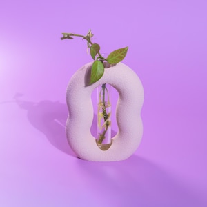 May include: A light pink, abstract-shaped vase with a clear glass tube in the center, holding a green plant with small leaves. The vase sits on a solid purple background, creating a minimalist aesthetic.