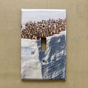 May include: A rectangular light switch cover featuring a photographic print of a large group of penguins on a snowy landscape. The cover has a single rectangular opening for the switch.