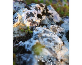 May include: A wall calendar featuring a high-resolution photograph of textured, light-colored rocks with patches of dark moss and small green plants. The bottom right corner displays the white cursive text Beautiful Nature.