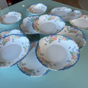 FRANCE Arcopal Dishware Florine Pattern 13Pc RARE Scarce